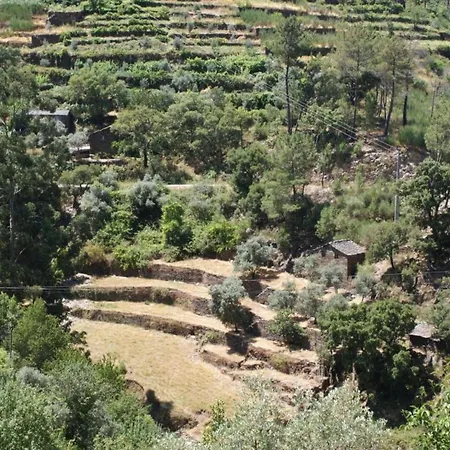 Spacious On Estate Near Covas (Coimbra)