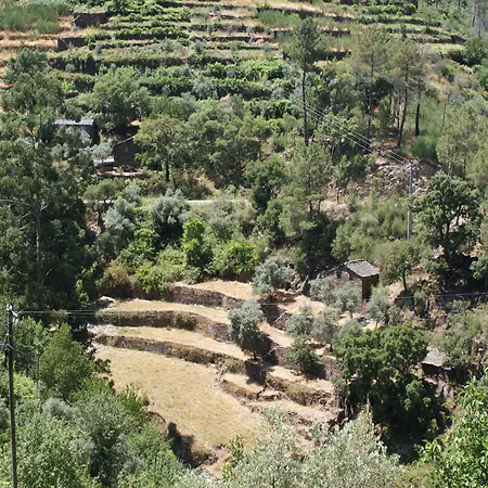 Spacious On Estate Near Covas (Coimbra)