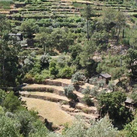 Spacious On Estate Near Covas (Coimbra)