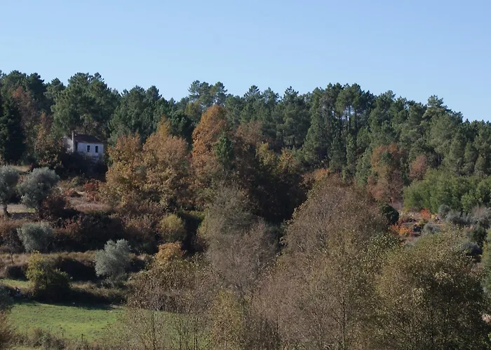 Spacious On Estate Near *